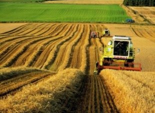 Агрономы Прикамья в преддверии нового аграрного года обсудили лучшие сорта сельскохозяйственных культур