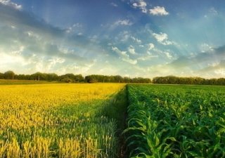 Агрокомплексом Башкирии заинтересовались американцы