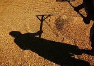 В Удмуртии скоро появится больше счастливых фермеров