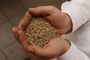 АПХ «Мираторг» завершит внедрение международной системы качества на производстве комбикормов