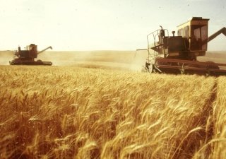 Неблагоприятные погодные условия вносят коррективы в уборочные работы в Ростовской области