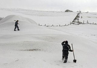 Снег укрыл посевы ростовских земледельцев