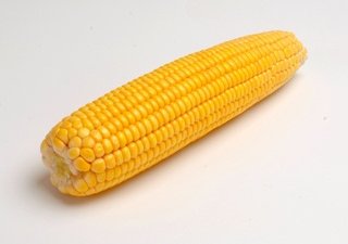 Экспорт кукурузы из РФ может превысить прежний рекорд