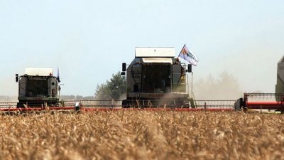 В Саратовской области валовый сбор зерна перевалил за 1,5 млн тонн