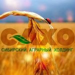 САХО готовит зерновую интервенцию