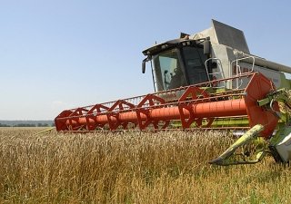 В пяти районах Зауралья идет уборка озимых культур