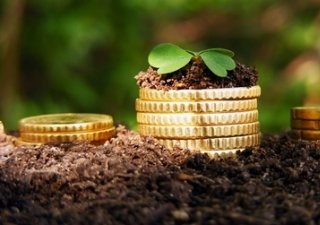 На развитие АПК в Дагестане выделят почти 23 млрд рублей