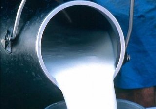 70% молочной продукции вынужден импортировать Азербайджан из-за низкого производства молока