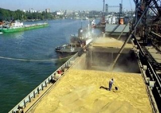 Зачем российское зерно китайцам, а китайские овощеводы - России?