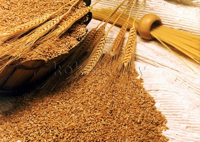 Проблемы со сбором урожая озимой пшеницы США сохраняются