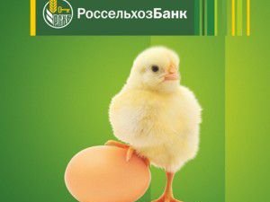 Стать фермером теперь проще