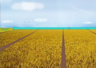 Надо ли автоматизировать зерновое производство