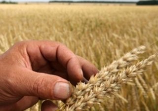 Российские сельскохозяйственники принимают поздравления