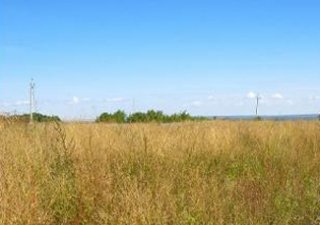 Закон, повышающий штрафы пассивным аграриям, внесен в Госдуму