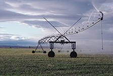 На развитие мелиорации в Омской области будет выделено более 3,5 млрд рублей