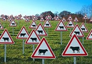 Россельхознадзор снова обнаружил недоброкачественное молоко и мясо из Беларуси