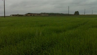 Проверка физических лиц