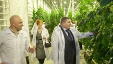Программа импортозамещения в действии