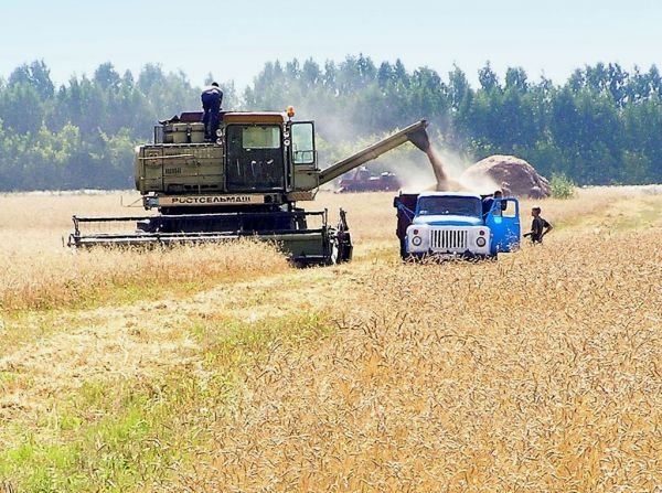 Россельхозбанк с начала года профинансировал сезонные полевые работы на Кубани на сумму свыше 4 млрд рублей