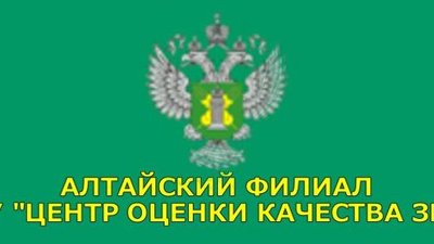 На Алтае завершились работы по закладке зерна интервенционного фонда