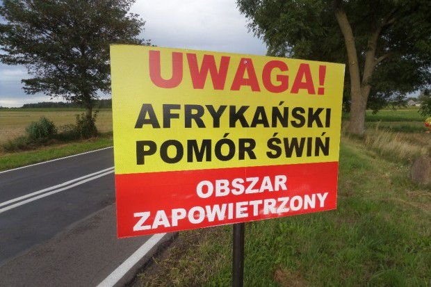 АЧС шагнула в новый регион Польши