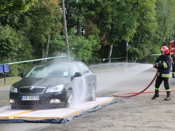 Ветеринары Польши готовятся к расширению зоны АЧС