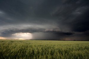 В 2015 году сельское хозяйство России ожидает стагнация