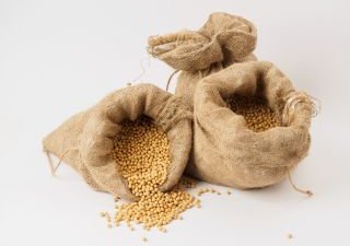 Соя разного назначения
