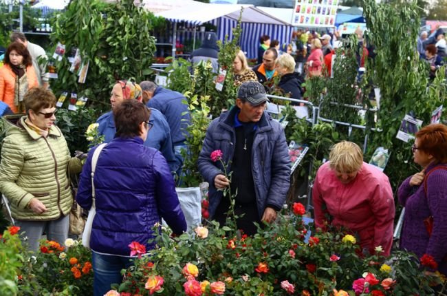 Ростовчане узнают секреты богатого урожая на выставке-ярмарке «Дачный сезон»