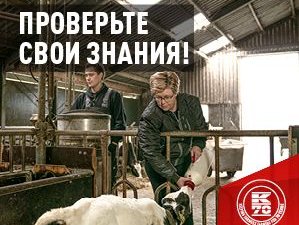 70 лет компании Kramp!