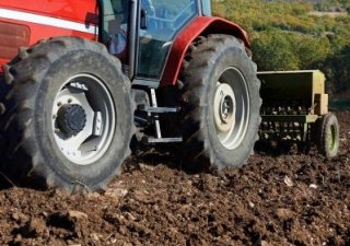 В Новосибирской области посеяно более 254 тыс. га яровых культур