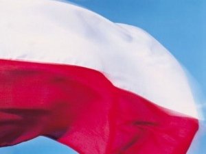 Польское и литовское мясо может быть допущено в Россию уже в июне