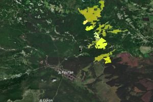 Продам земли с/х назначения 323,31га в Емельяновском районе (д.Крутая) Красноярского края
