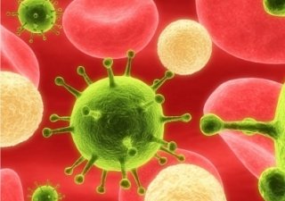 В России отмечены новые вспышки ветеринарных заболеваний