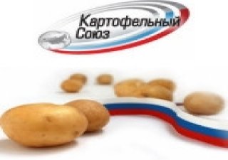 Картофельный Союз рекомендует начать безотлагательное заключение контрактов на поставку семенного картофеля