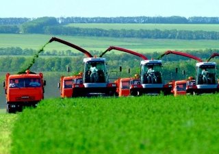 Аграрии Алтайского края создают страховой запас кормов для животноводства