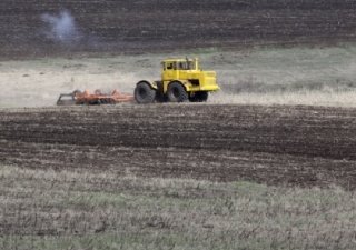 Чеченские аграрии перевыполнили план по севу озимых зерновых