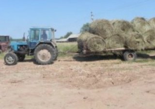 В Рязанской области будет агрогородок