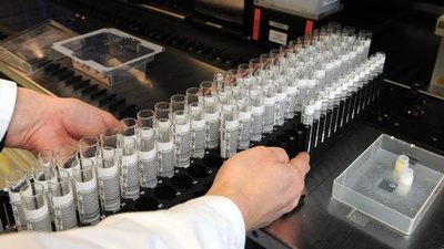В Нижней Саксонии зарегистрирован второй случай птичьего гриппа