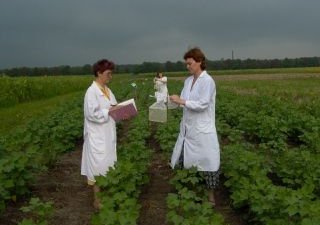 Сельхозпроизводителей Краснодарского края познакомят с новыми возможностями органического сельского хозяйства и биологизации земледелия