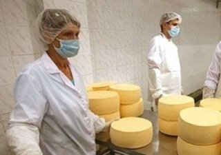 Украинский производитель сыра не получал претензий от России