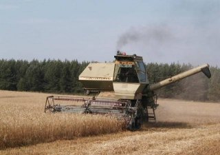 В Госдуме предлагают снизить порог потерь урожая