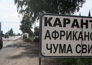 В Нехаевском районе Волгоградской области снят карантин по АЧС