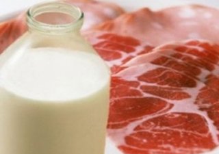 Евросоюз заинтересован в импорте белорусских продуктов