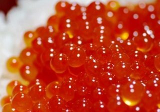 Камчатские браконьеры задержаны с крупной партией рыбопродуктов