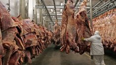 Высокая цена дешевых продуктов в Омске