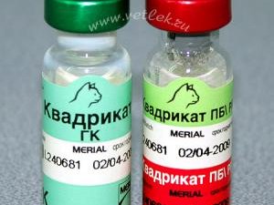 Рабочие будни вирусологического отдела.