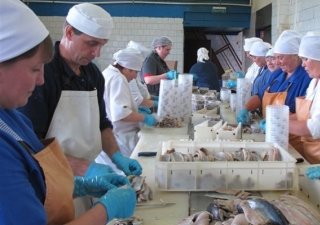 В Кольском районе Мурманской области активно развивается рыбопереработка
