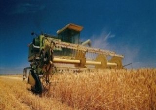 Реально ли собрать урожай зерна в 95 млн тонн?
