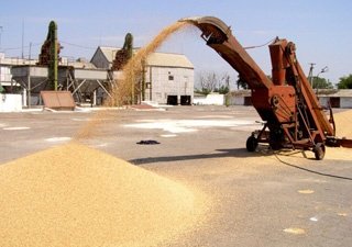 Мировые цены на зерно выросли